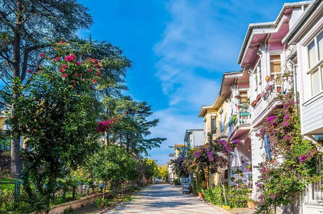 GÜNÜBİRLİK İSTANBUL ADALAR TURU