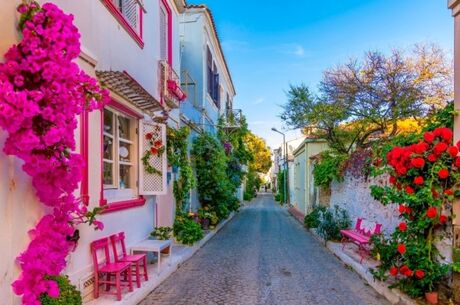 BOZCAADA ASSOS AYVALIK TURU