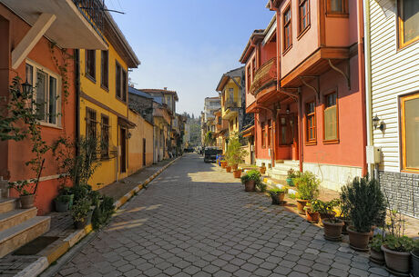 GÜNÜBİRLİK BURSA- CUMALIKIZIK - GÖLYAZI - MUDANYA - TRİLYE TURU